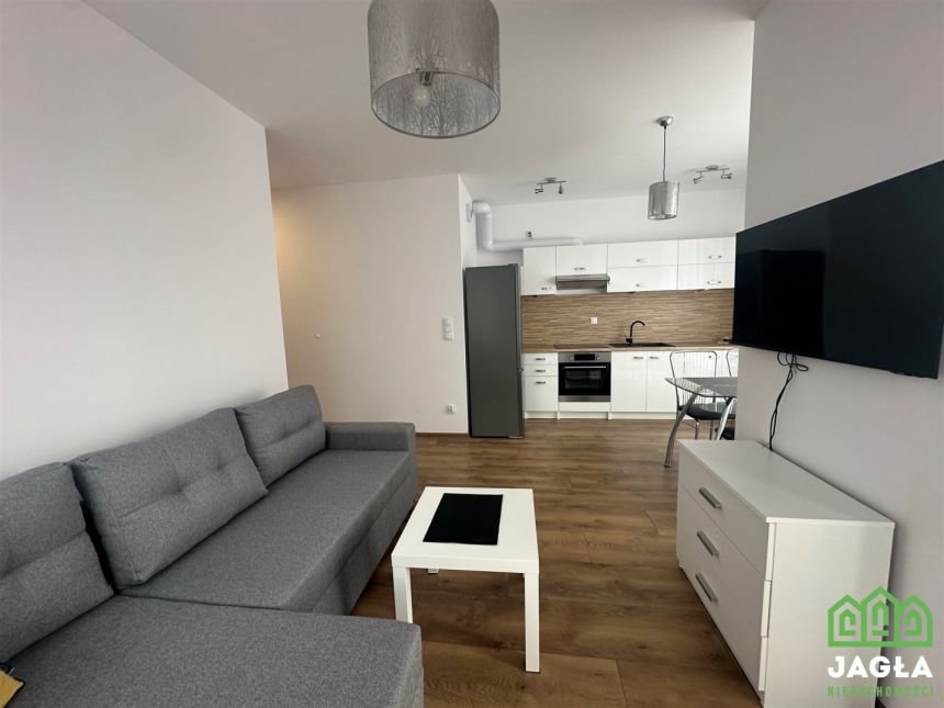 Platanowy Park 2023r blok M3  40m na wynajem miniaturka 14