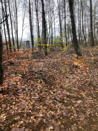 Ignatów, 80 000 zł, 33 ar, leśna