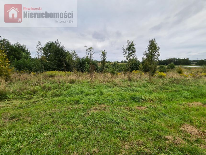 Paszkówka, 99 000 zł, 1.6 ha, rolno-budowlana - zdjęcie 1