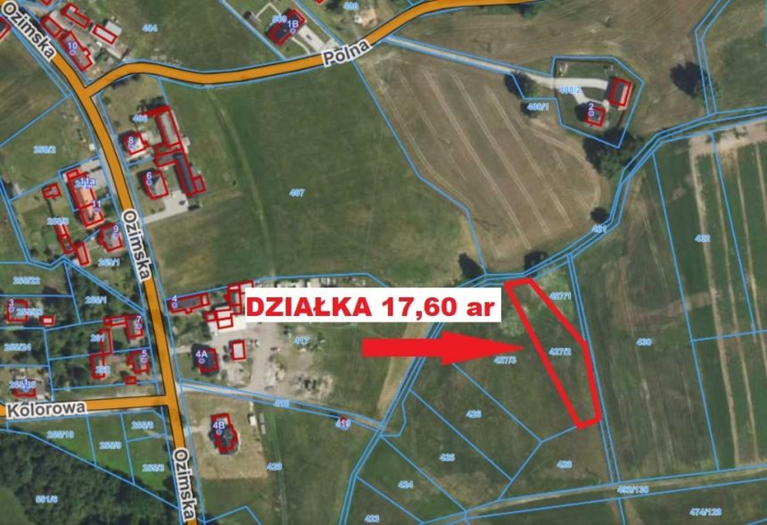 Sprzedaż działki rolnej, Pustków, 1760 m2,Ozimek. - zdjęcie 1