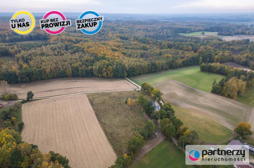Grzmiąca, 263 000 zł, 40.49 ar, droga dojazdowa utwardzona miniaturka 8