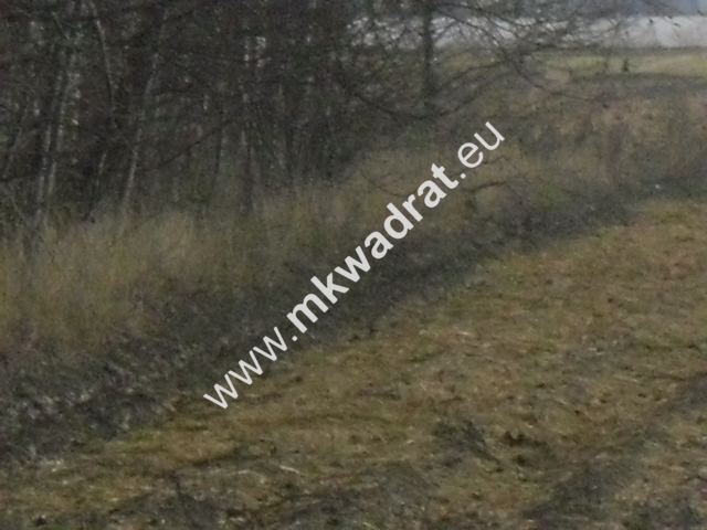Pęcice działka w atrakcyjnym miejscu 10.500 m2 miniaturka 4
