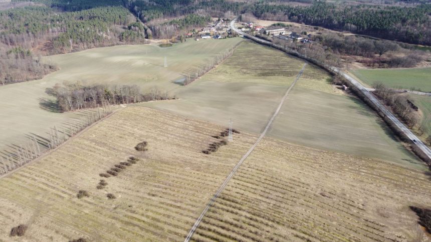 Działka przemysłowa w Swarożynie przy autostradzie A1. - zdjęcie 1