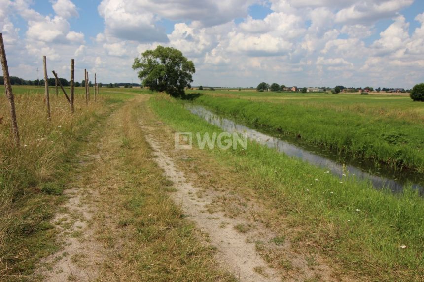 Czarnocin, 99 000 zł, 64 ar, bez nasadzeń miniaturka 3