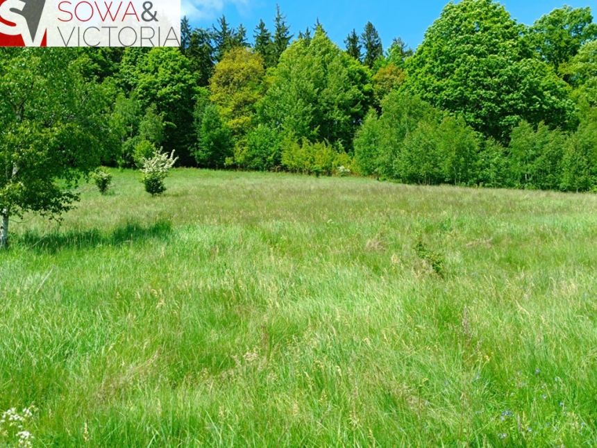 Działka budowlana, 3 km od Wałbrzycha - Promocja! miniaturka 3