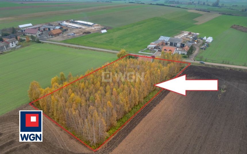 Bielewo, 299 000 zł, 80 m2, jednorodzinny miniaturka 2