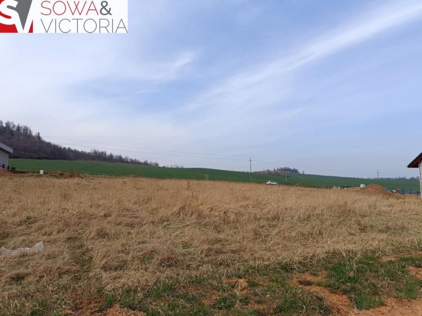 Uzbrojona działka 4 km od Wałbrzycha miniaturka 6