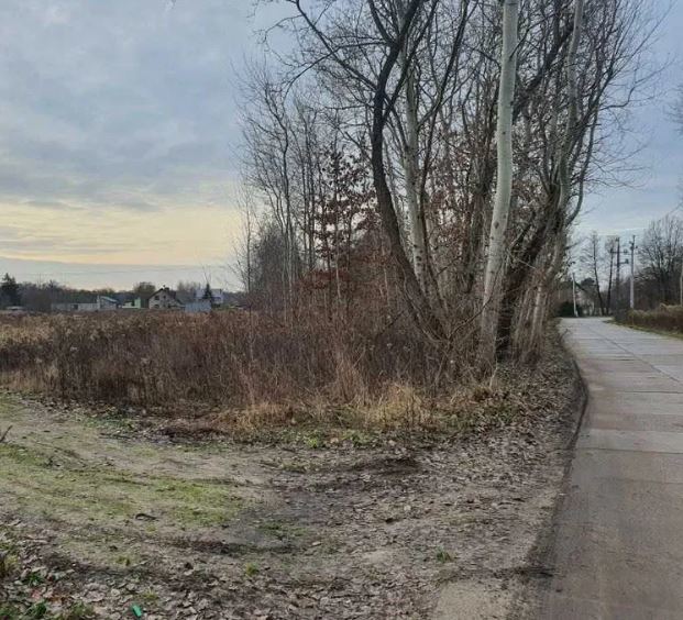 Działka do wynajęcia, dowolny cel. miniaturka 3