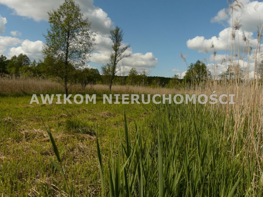 Sewerynów, 110 000 zł, 15 ar, budowlana miniaturka 11