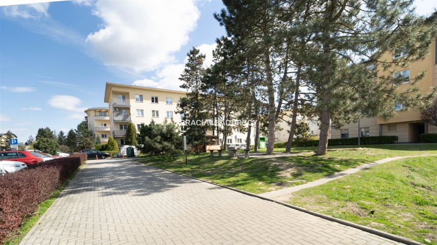 PRZESTRONNE, SŁONECZNE, ZADBANE 3-POKOJOWE miniaturka 20