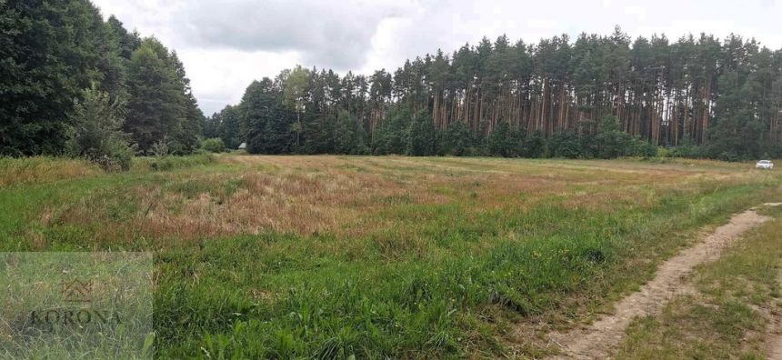 1,45 ha, las, możliwość uzyskania wz - zdjęcie 1