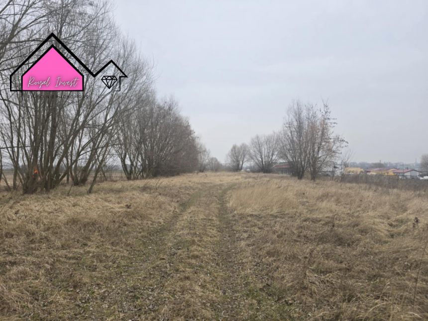 Konin Pociejewo, 315 000 zł, 81.56 ar, usługowa miniaturka 9