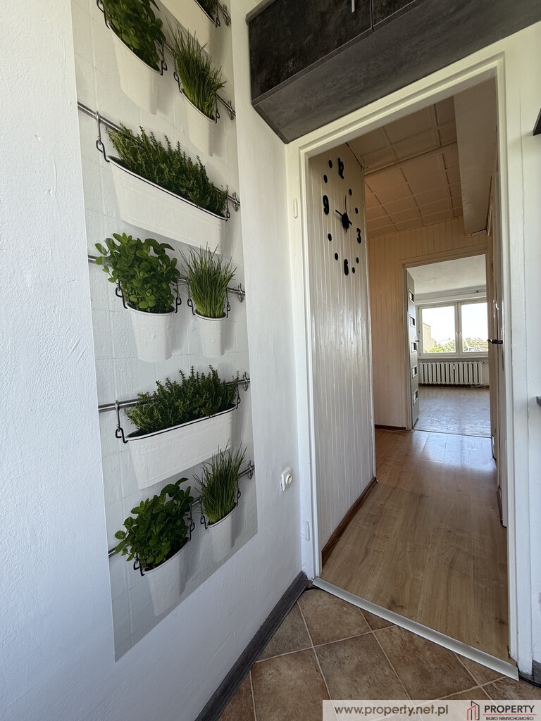 Mieszkanie, 39 m2, Tuwima, Dębica miniaturka 3