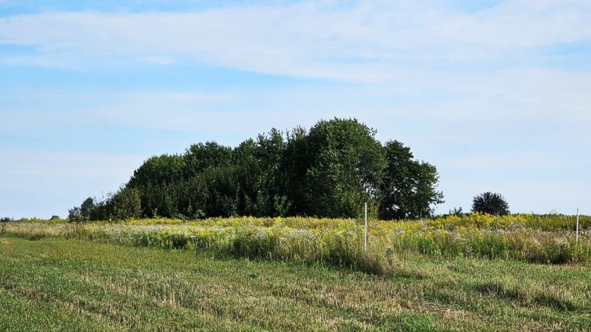 Działka budowlana, Starościn, gm. Kamionka miniaturka 9