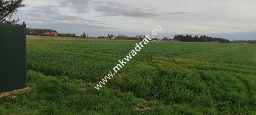 3416m2 Pasikonie k/Kampinosu z warunkami zabudowy! miniaturka 9
