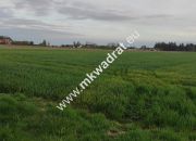 3416m2 Pasikonie k/Kampinosu z warunkami zabudowy! miniaturka 9