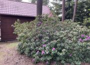Sokolniki-Las, 399 000 zł, 1890 m2, z drewna miniaturka 11