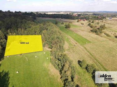 Grudza, 420 000 zł, 60 ar, w kształcie trapezu