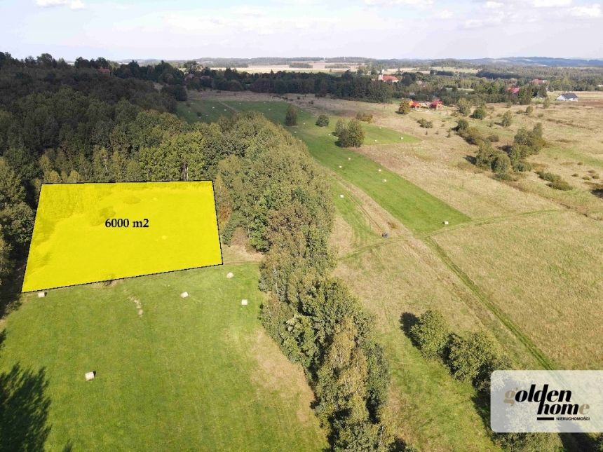 Grudza, 420 000 zł, 60 ar, w kształcie trapezu - zdjęcie 1