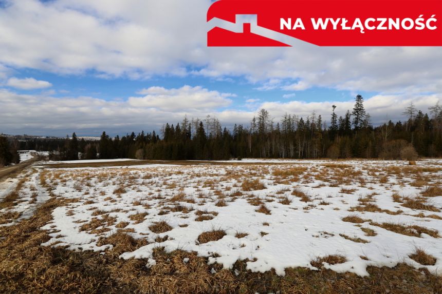 Inwestycyjna działka przy stoku narciarskim miniaturka 9
