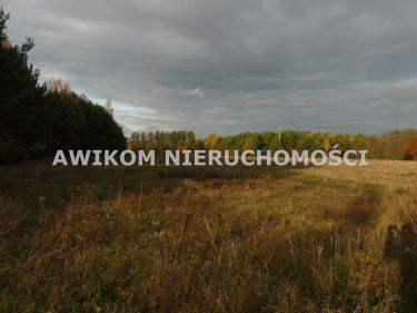 Puszcza Mariańska, 78 470 zł, 11.21 ar, budowlana