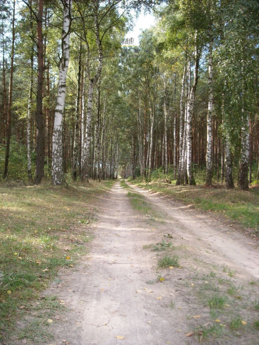 Trojaczek, 349 000 zł, 2.3 ha, rolna miniaturka 5