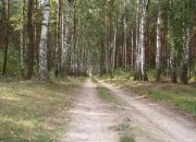 Trojaczek, 349 000 zł, 2.3 ha, rolna miniaturka 5