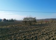 Popędzyna działka z możliwośćią uzyskania WZ miniaturka 17
