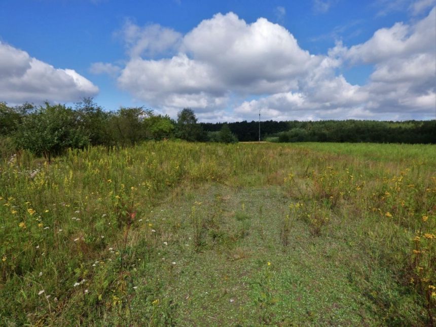 DZIAŁKI  4840 m2, BĘDZELIN GM. KOLUSZKI miniaturka 3