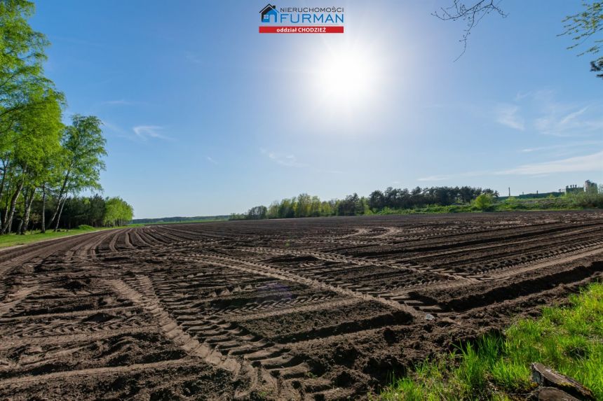 Na sprzedaż działka rolna w Budzyniu. - zdjęcie 1