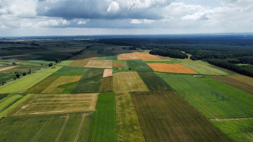 Woźniki atrakcyjna działka z możliwością zabudowy! miniaturka 8