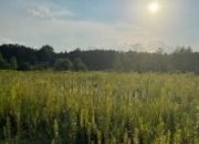 Działka z widokiem na las o pow. 1620 m2. miniaturka 2
