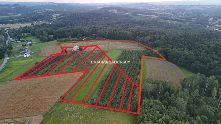 Wolica, 1 250 000 zł, 4.9 ha, przyłącze wodociągu miniaturka 2