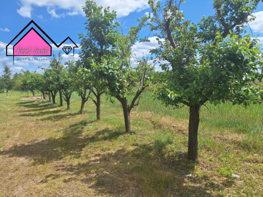 Byszewo, 315 000 zł, 83.4 m2, 2 pokoje miniaturka 9