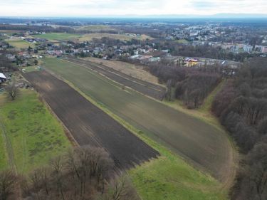 Wielorodzinna, las, 5 min do Mikołowa, spokój