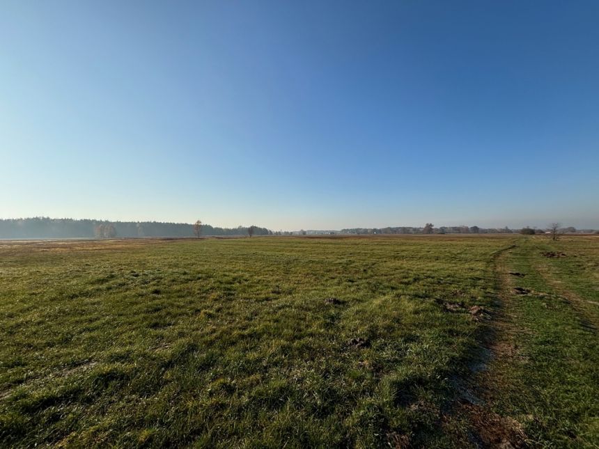 Ziemia rolna 2,71 ha koło Radzymina miniaturka 6