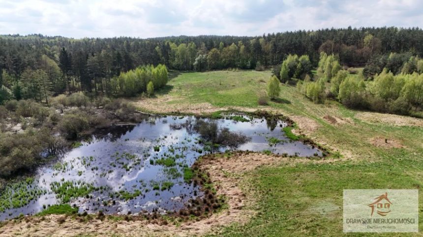Rzepowo, 495 000 zł, 3.15 ha, rolna miniaturka 5