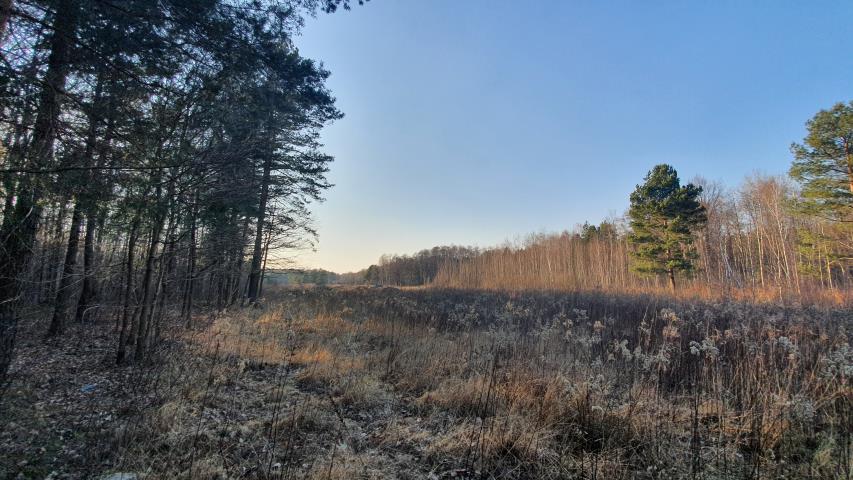 piękna otulona lasem z warunkami zabudowy miniaturka 3