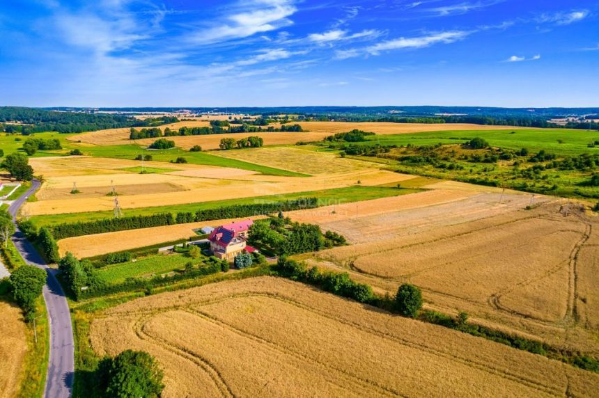 Piękny duży dom z działką 9211m2 i drugim domem miniaturka 5