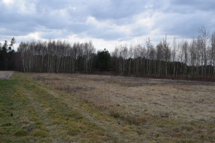 Działka pod zabudowę 55a- Przewrotne miniaturka 5