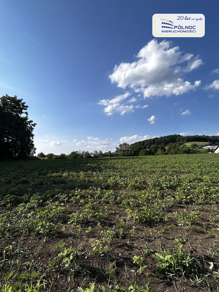 Działka z widokiem na panoramę gór. miniaturka 8