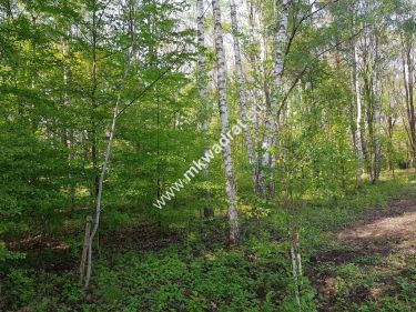 Okazja ! Działka budowlana 3218 m2 Radonie z MPZP