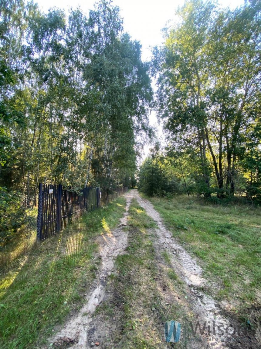 Niemianowice, 80 000 zł, 13.22 ar, przyłącze prądu miniaturka 4