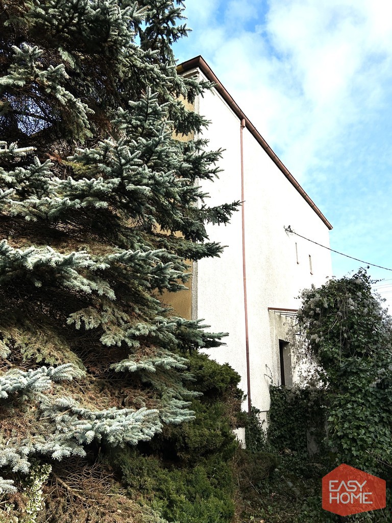 Grunwald, dom w doskonałej lokalizacji miniaturka 7