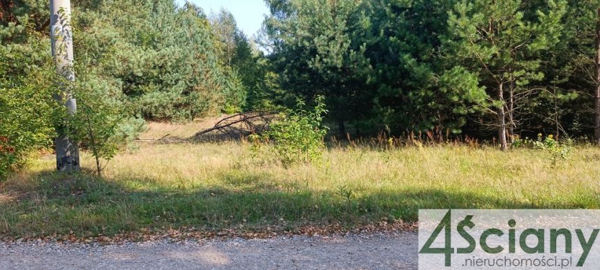 Zalesie, 3 420 000 zł, 1.9 ha, prostokątna - zdjęcie 1