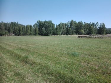 Teremiski, 750 000 zł, 1.41 ha, rolna