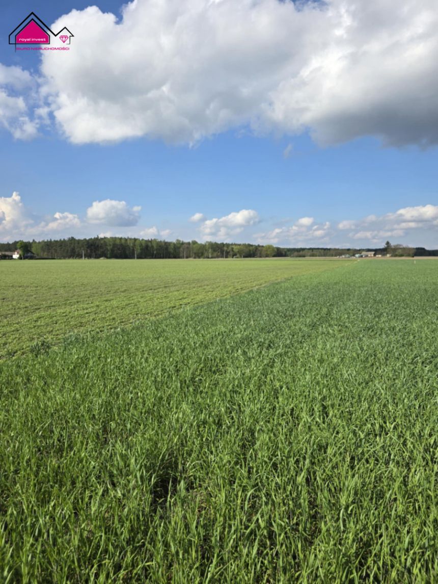 Skrzynka, 83 000 zł, 9.98 ar, rekreacyjna miniaturka 7