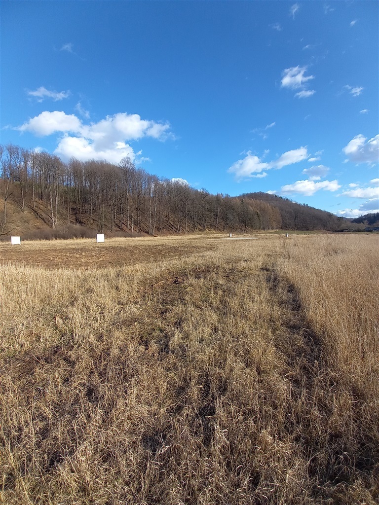 Chwaliszów, 155 000 zł, 20.73 ar, płaska miniaturka 7