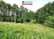 Zabrodzie, 790 000 zł, 2.23 ha, przyłącze elektryczne miniaturka 7