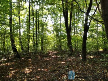 Kosów, 400 000 zł, 1.66 ha, inwestycyjna